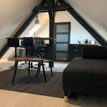Апартаменты Cocoon Loft Кольмар Экстерьер фото