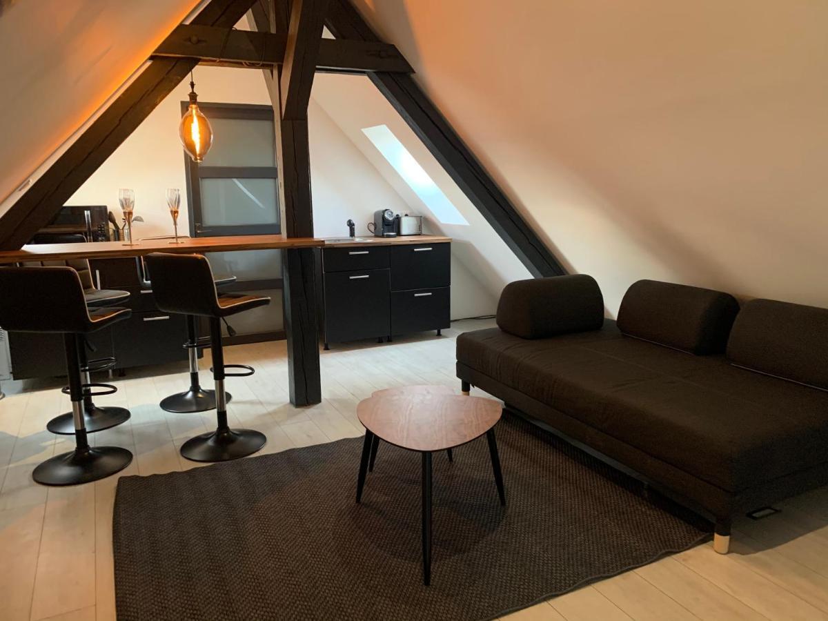 Апартаменты Cocoon Loft Кольмар Экстерьер фото
