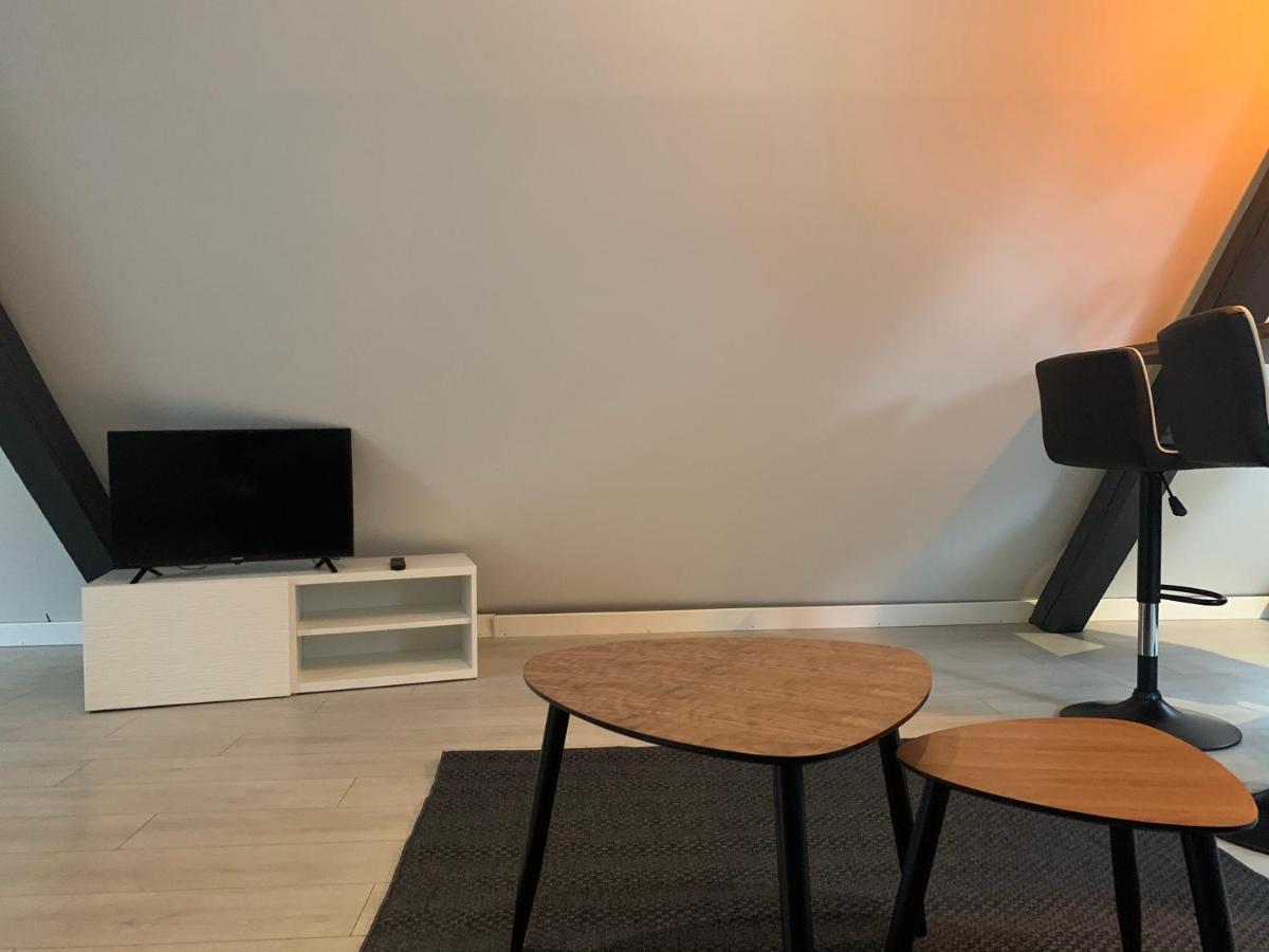 Апартаменты Cocoon Loft Кольмар Экстерьер фото