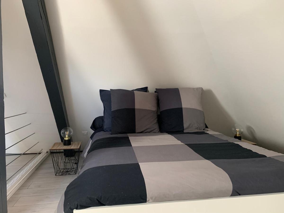 Апартаменты Cocoon Loft Кольмар Экстерьер фото