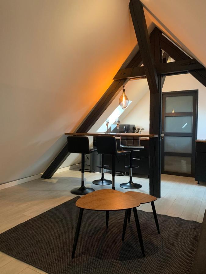 Апартаменты Cocoon Loft Кольмар Экстерьер фото