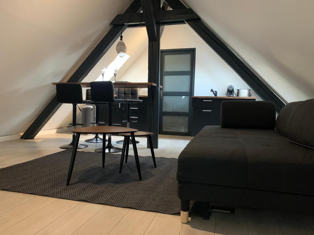 Апартаменты Cocoon Loft Кольмар Экстерьер фото