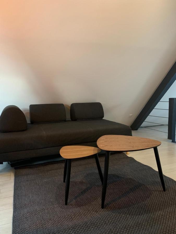 Апартаменты Cocoon Loft Кольмар Экстерьер фото